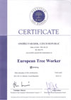 european tree worker
